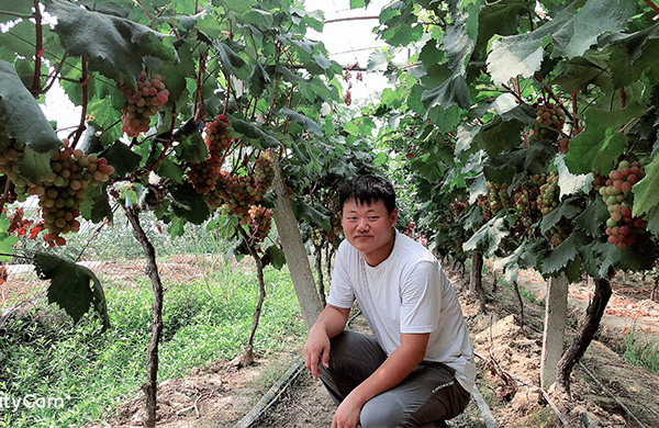 1585295295261302.jpg 3.jpg